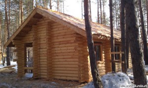 Металлопрофиль, сверху горбыль. Архангельская слобода.